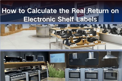 ESL ROI Calculator: Ahoana ny fomba kajy ny tena fiverenana amin'ny etikety t...